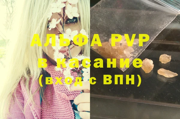 гашик Майский