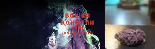 шишки Магадан