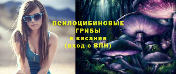 гашик Майский