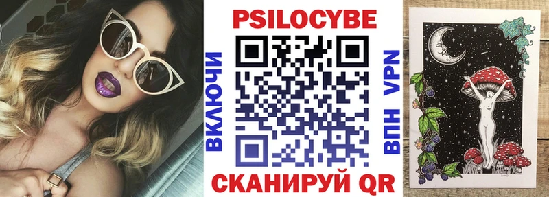 как найти наркотики  Курганинск  Галлюциногенные грибы GOLDEN TEACHER 