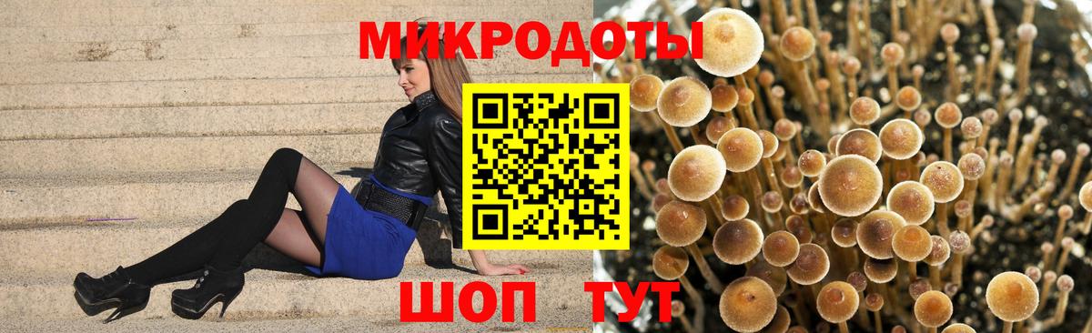 Галлюциногенные грибы Psilocybe  Вход с VPN  Псилоцибиновые грибы Magic Shrooms  Курганинск 