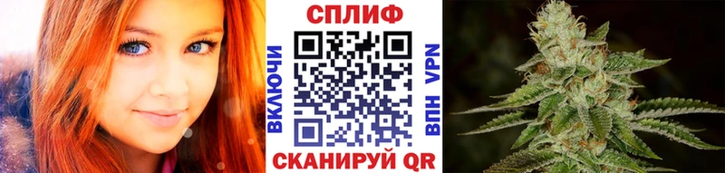 Конопля AK-47  где продают   Курганинск 